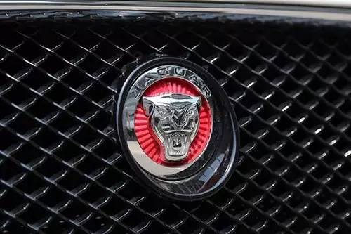 車(chē)標(biāo)上的動(dòng)物都是啥來(lái)頭？看完又能出去裝X了