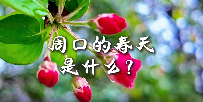 周口的春天，待你慢慢遇見